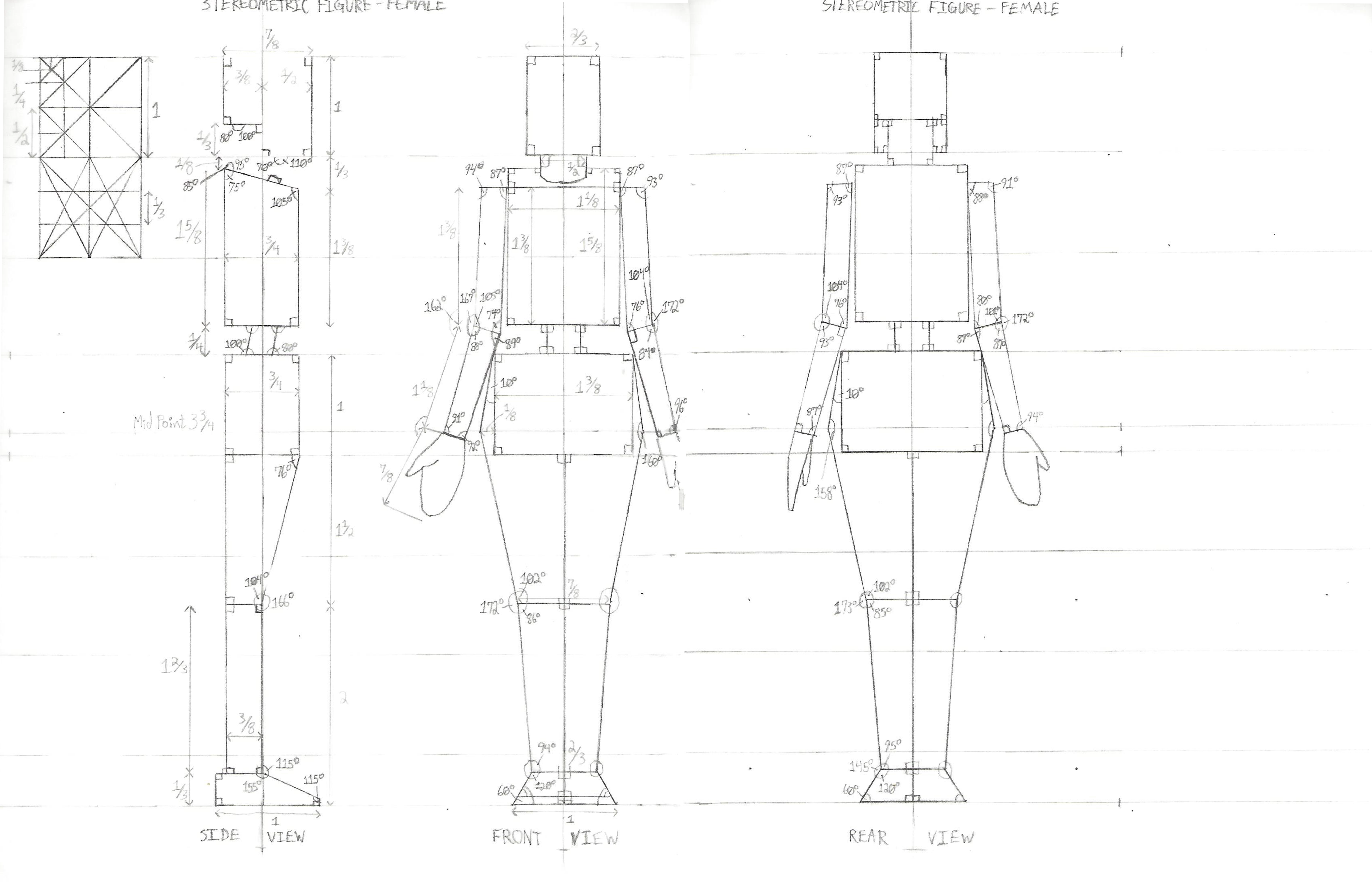 Human Anatomy Study – Matthew Tunney